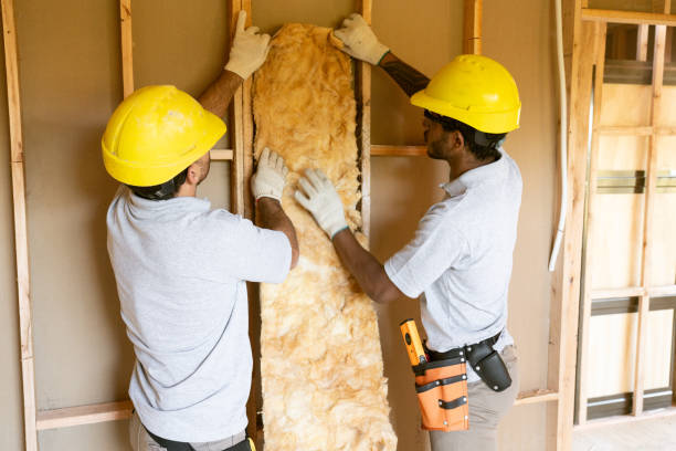 Best Wall Insulation Contractor  in South Apopka, FL